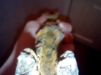 IMG016.webp