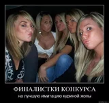 .webp
