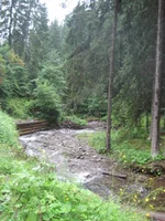 IMG_2637.jpg