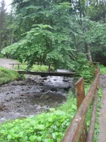 IMG_2638.jpg