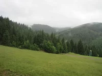 IMG_2685.jpg