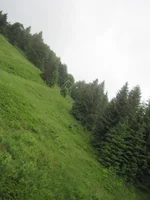 IMG_2696.webp