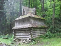 IMG_2731.jpg