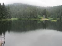 IMG_2749.jpg