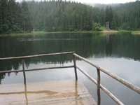 IMG_2769.webp