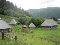 IMG_2828.jpg