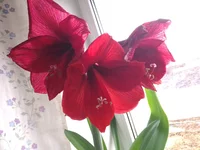 IMG_20230227_141835.webp