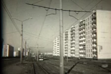 33.webp