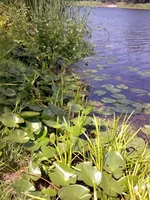 034.webp