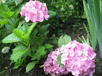  008.webp