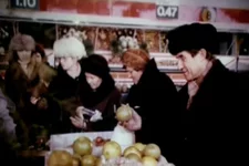 244.webp