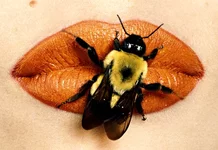 irving-penn-bee-on-lips-december-1995.webp