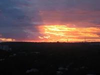 005.webp