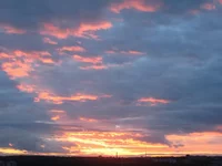  009.webp