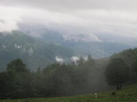 IMG_2933.jpg