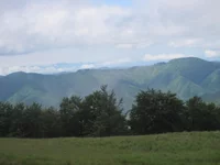 IMG_2950.jpg