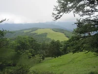 IMG_2991.jpg