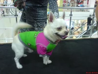 DSC00911.webp