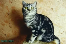 Gloria G.R. 8.webp