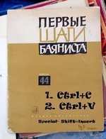 Баянист.jpg