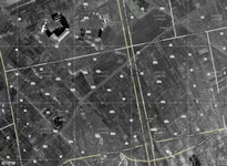 P_Pole-1941.webp