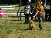 P6270175 - копия.webp