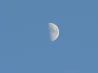 DSC01383.webp