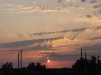 DSC01813.webp