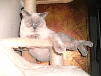 PICT4537.webp