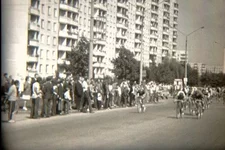 36.webp