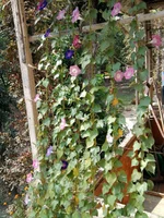 2010-09-04 13.29.16.webp