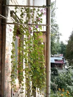 2010-09-04 13.27.59.webp