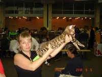 DSC05578.webp