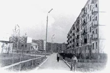 15.webp