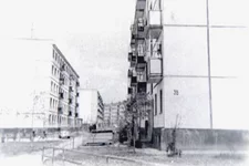 16.webp