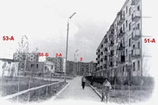 P_Pole-15-.jpg