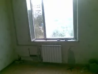 23072010(002).webp
