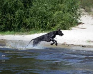 Leto_Osokorki_2010_f3.webp