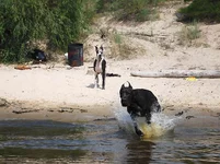 Leto_Osokorki_2010.webp