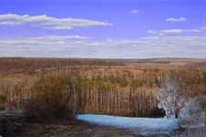 83988w.jpg