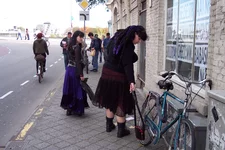 100_0524.webp
