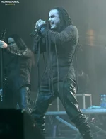 31.webp