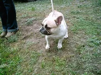 IMAG0081.webp