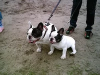 IMAG0086.webp
