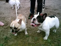 IMAG0088.webp