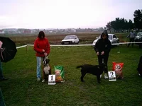 IMAG0098.webp