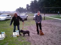 IMAG0100.webp