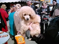 IMAG0063.webp