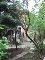 DSCF3945_1.webp