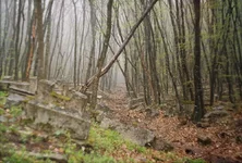 r002-015.webp